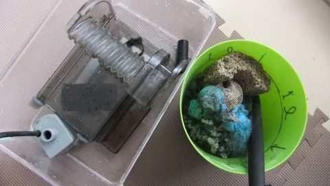 Thumbnail of related posts 125